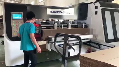 CZYL-SSK Formeuse de carton automatique