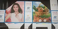CZYL-GQ Formeuse de carton avec hotte